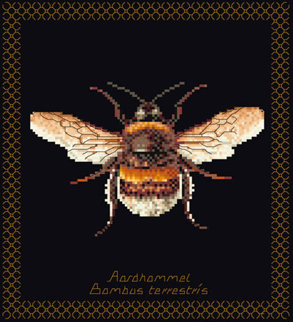 Bumble Bee - Black