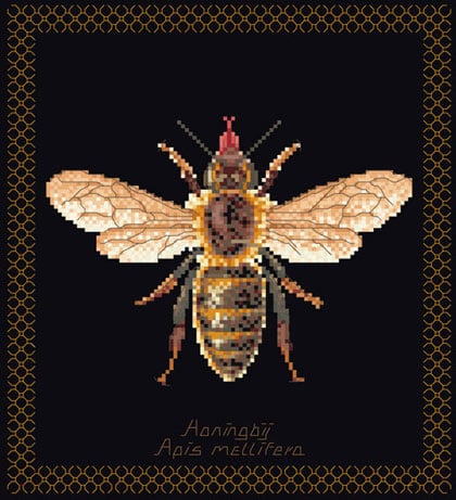 Honey Bee - Black