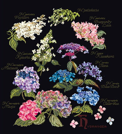Hydrangea Panel - Black