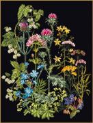 Herb Panel - black
