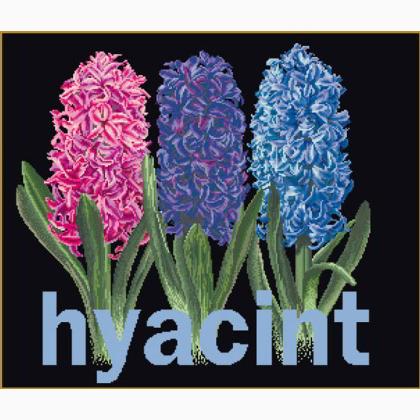 Hyacinth - black