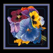 Pansies - black