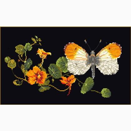 Butterfly-Nasturtium - black