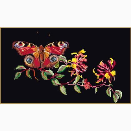 Butterfly-Honeysuckle - black
