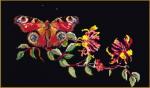 Butterfly-Honeysuckle - black