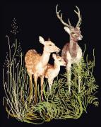 Deer Family - Black