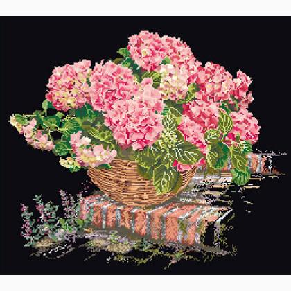 Pink Hydrangea - Black