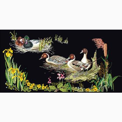 Ducks - Black