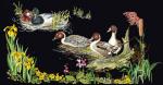 Ducks - Black