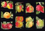 Apples - Black