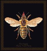 Honey Bee - Black