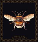 Bumble Bee - Black