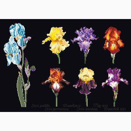 Iris Panel - Black