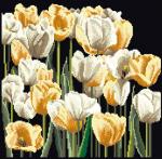 Tulips - Black