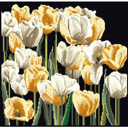 Tulips - Black