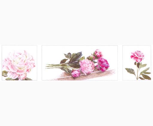 Peonies - Aida