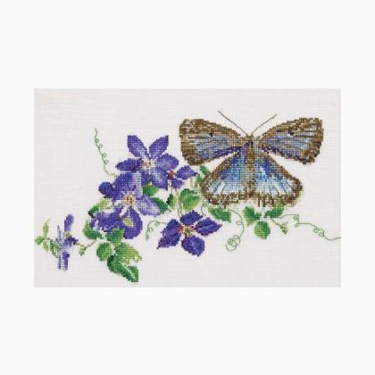 Clematis - Aida