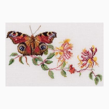 Honeysuckle - Aida