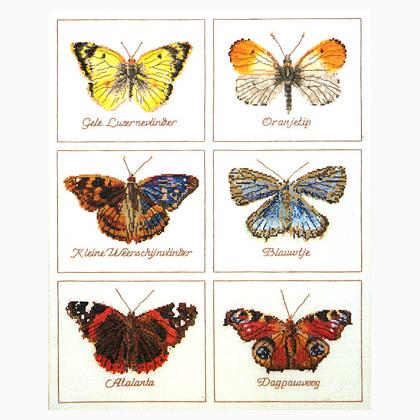 Butterflies - Aida