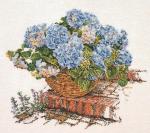 Blue Hydrangea II - Aida