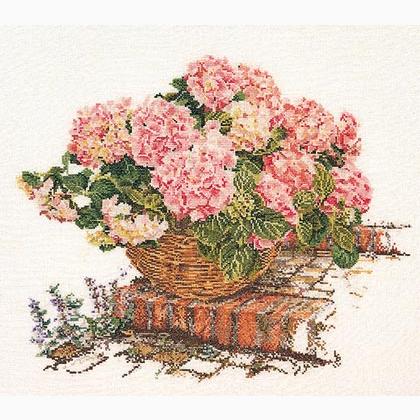 Pink Hydrangea II - Aida