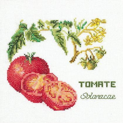 Tomato - Aida