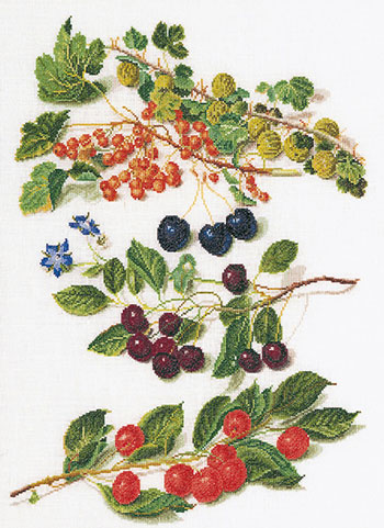 Antique Fruits 3° - Aida