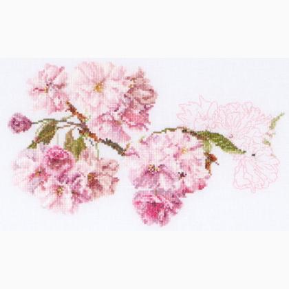 Blossom