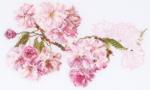Blossom