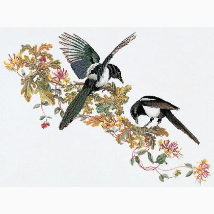 Magpie - Aida