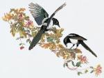 Magpie - Aida