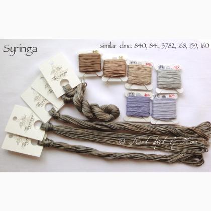 Syringa