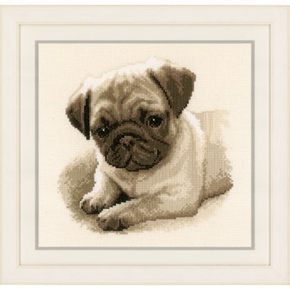 Pug Dog