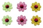 Blooming with Color - 5380