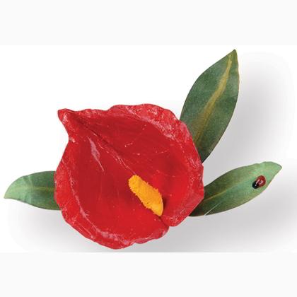 Sizzix Thinlits Die Set 5PK - Flower, Anthurium