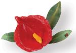Sizzix Thinlits Die Set 5PK - Flower, Anthurium