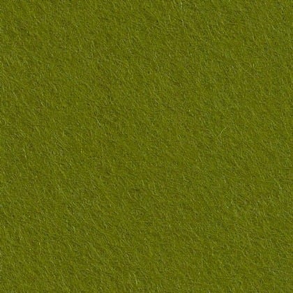 Felt Lichen