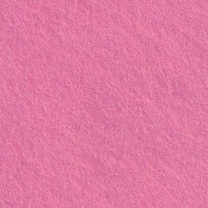 Felt Rose vif