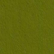 Felt Lichen