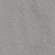 Felt Souris