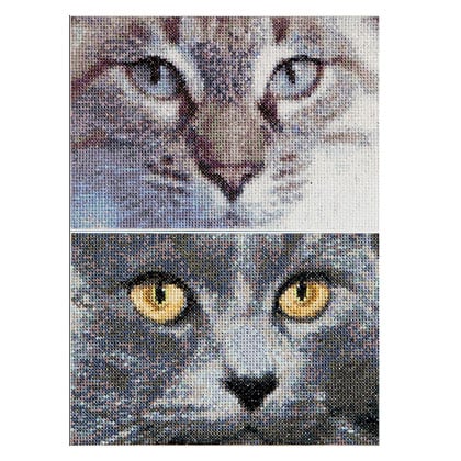 Jack & Luna