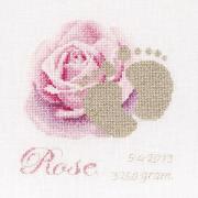 Birth Sampler Rose (Aida)