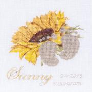 Birth Sampler Sunny (Aida)