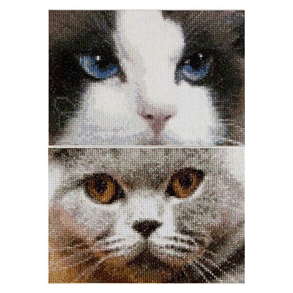 Smokey & Blu