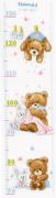 Height Chart "Little Bears"