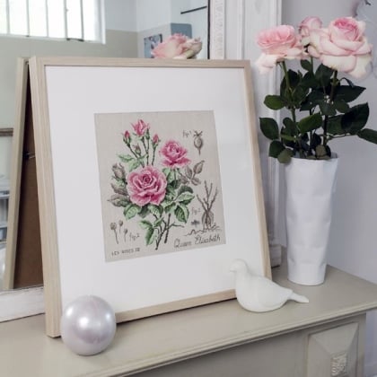 Etude à la rose «Queen Elisabeth» - Linen