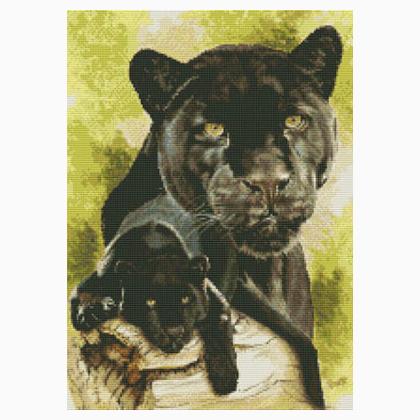 Spirit Of The Black Leopard