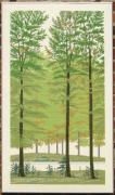 Beech Wood