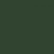 Envelope DL - Dark Green