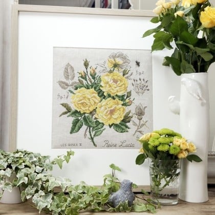 Etude à la rose «Reine Lucia» - Linen